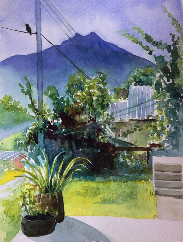 Mt Mackenzie from back patio