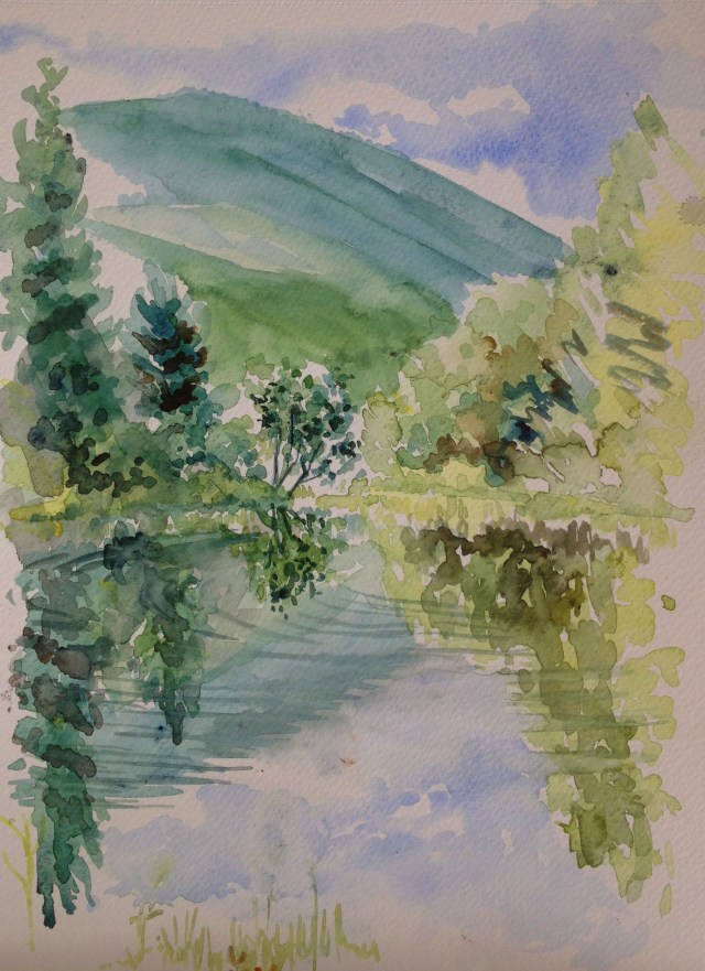 above the dam, the pond 1.08.2016