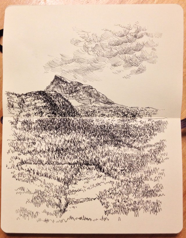 Mt Begbie from the flats finished 2.08.16